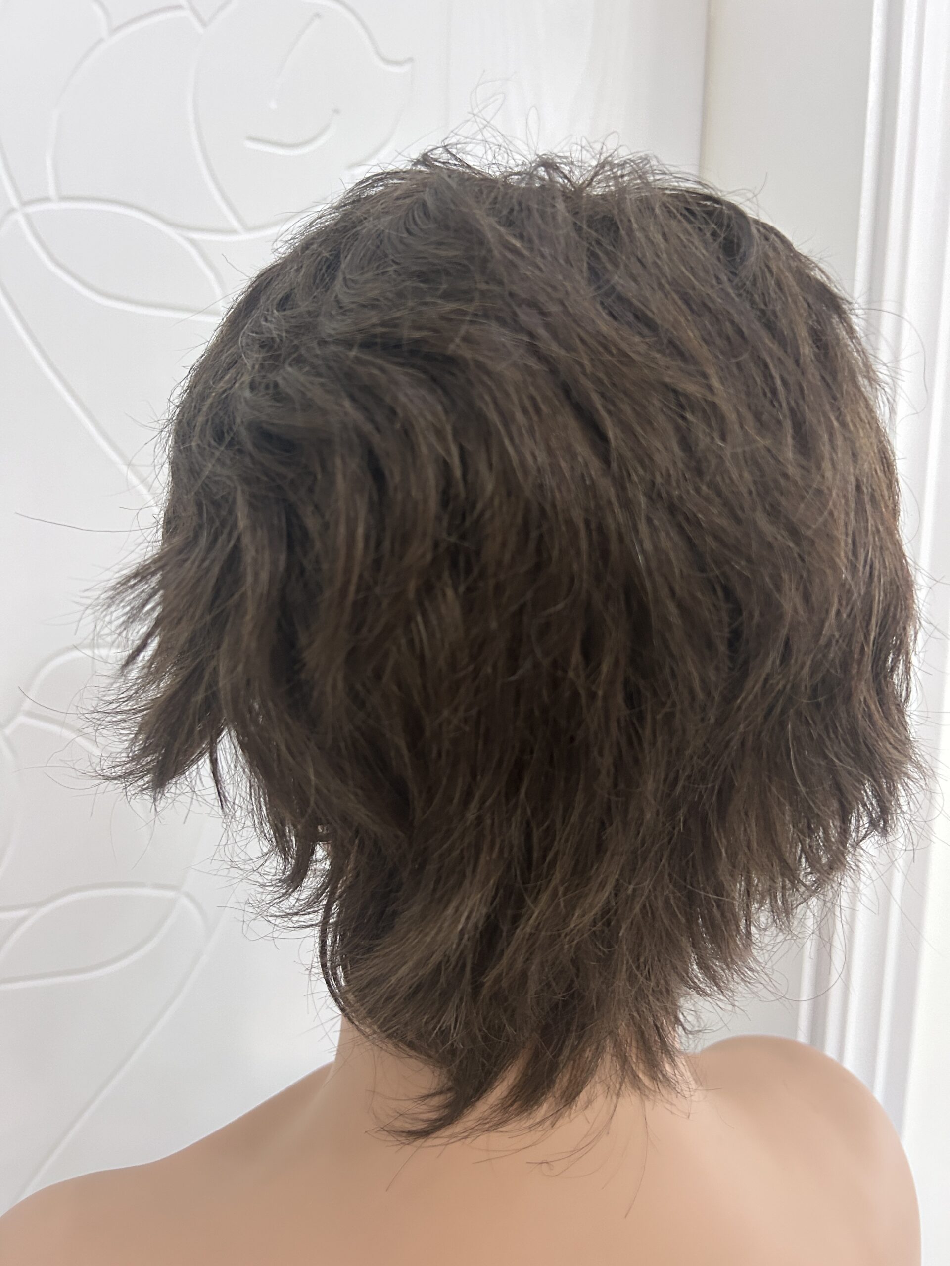 6 Inches Short Style Premium Quality 100% Human Hair Lace Front Wig - Image 3